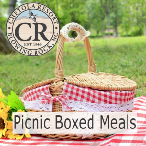Picnic Meals (2 options)