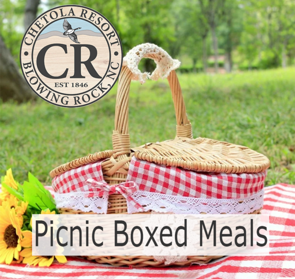 Picnic Meals (2 options)